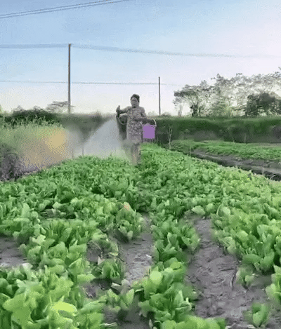 battery-powered pressure washer